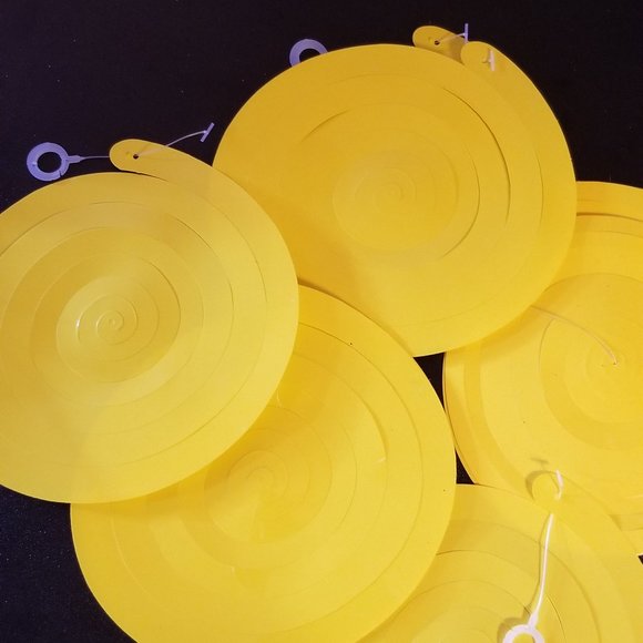 Graduation decorations - Picture 9 of 15